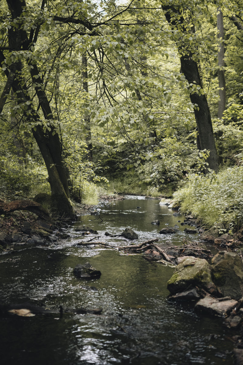 Gesundheit für alle